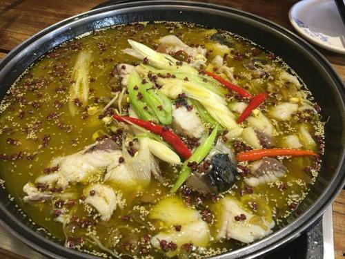 椒麻鱼爆料视频大全集播放,一场视觉与味蕾的双重盛宴